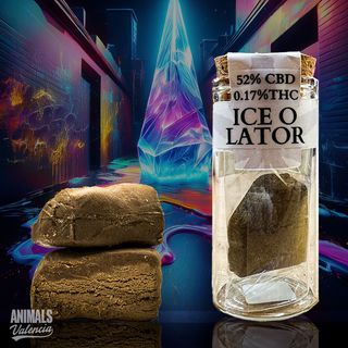 Hash Ice o Lator CBD 10Gr