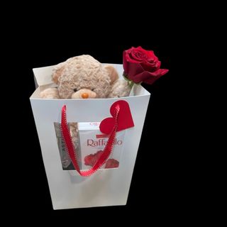 Teddy Gift 4