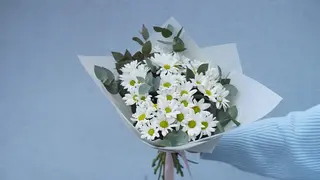 ქრიზანთემები ლილატ 0147