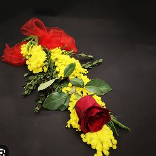 Rosa rossa  e mimosa