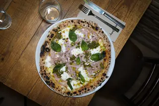 BOLOGNA