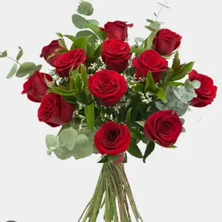 Docena Rosas Rojas