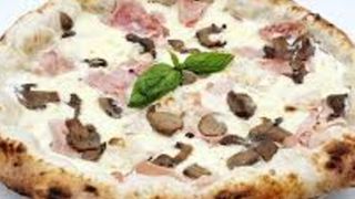 Panna cotto e funghi