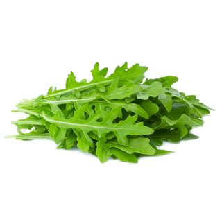 Rucola