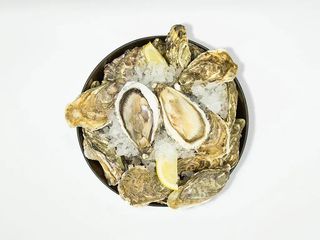 GL Saint Patrick №3