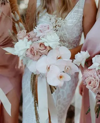 Boho Blush