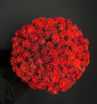 101 троянда Ель - Торро під стрічку №45