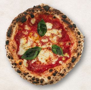 MARGHERITA