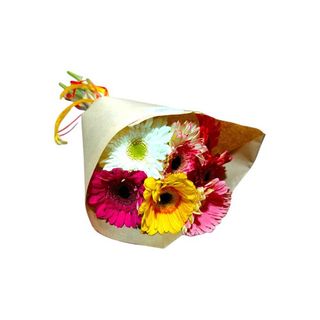 Gerberas Mix