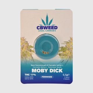Cbweed Feminised seed THC Moby Dick n.3 