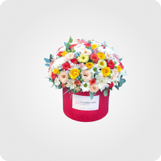  კომპოზიცია B -3