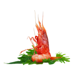 205- Sashimi amaebi - 4 pezzi