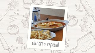 Cachorro Especial
