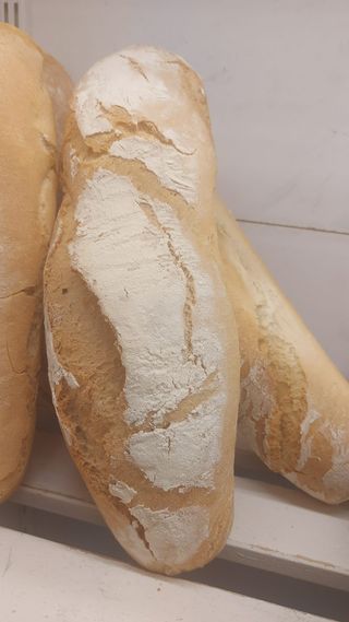Filoncino toscano