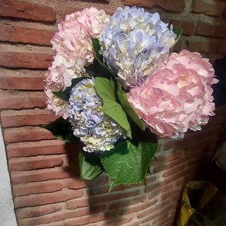 RAMO DE HORTENSIAS VARIADAS