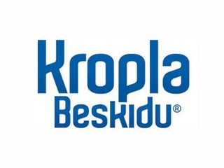 Woda niegazowana 330 ml