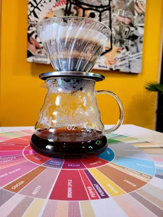 V60 - 200 ml