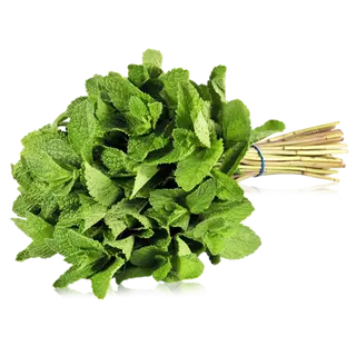 Menta Manojo