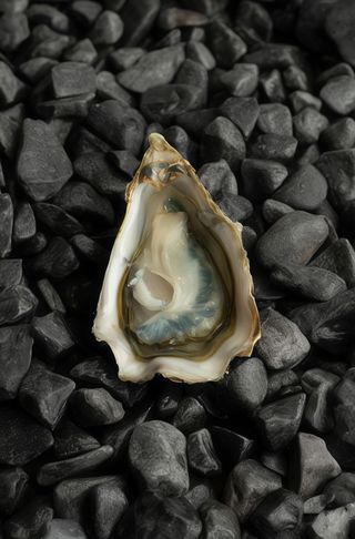 Ostras Fine De Claire N2 (12 Uds.)