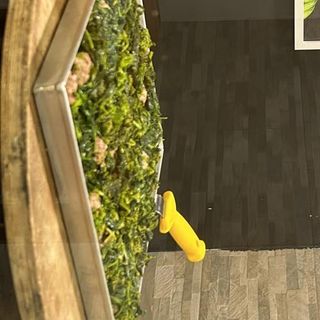 Mezzo Metro Salsiccia e Friarielli 