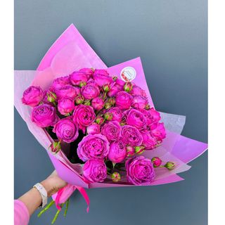 პიონისებური სპრეი ვარდი (10)