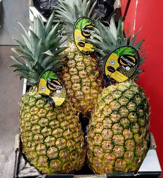 Piña Extra Entera