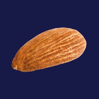 Tarrina 500G Almendra Marcona cruda