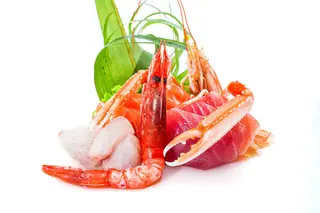 153. Sashimi Sakura