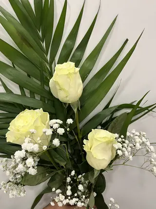 3 Rosas Blancas