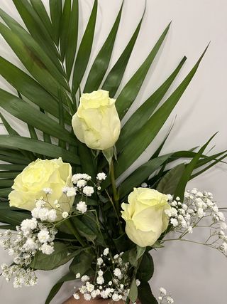 3 Rosas Blancas