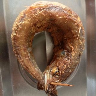 Fried Fish (Eja Kika)