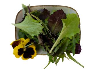 Мікс салату (20g)