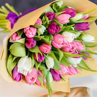 Buchet din 29 lalele multicolore alb-roz-mov