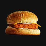 Fish Burger