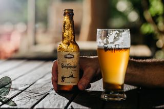 Pivo Beertchanin 0.33l