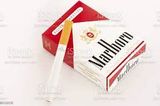Marlboro Rouge