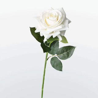Біла троянда - 1 шт 