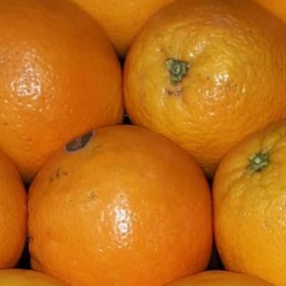 Zumo de naranja natural recién exprimido (250 ml)