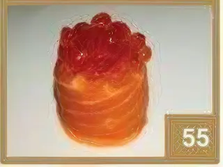 55 Jo ikura