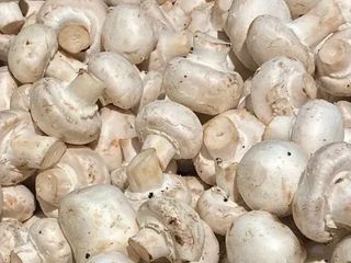 ГРИБИ ПЕЧЕРИЦІ (50g)