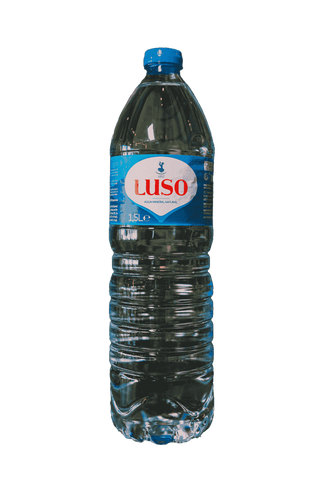 PET AGUA 1LT
