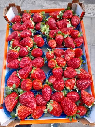 Cassetta di fragole da 2 kg 