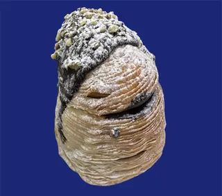 Tupella Grande