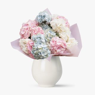 Buchet 11 hortensii multicolor