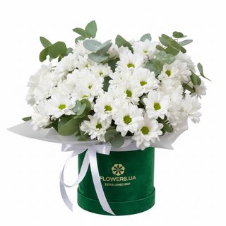 Композиція"Білосніжна гармонія"