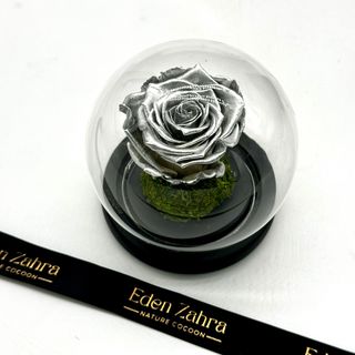 Eternal Silver Rose