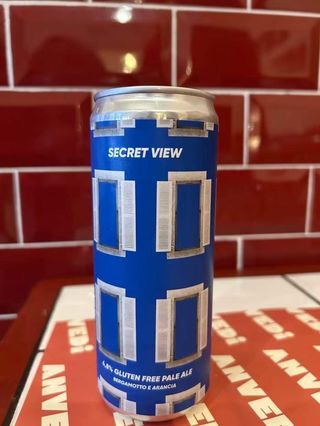 Secret view (birra artigianale) SENZA GLUTINE