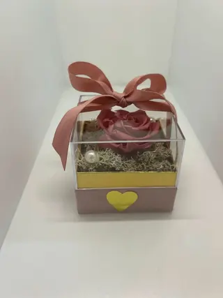 Rosa da Delicadeza e Carinho