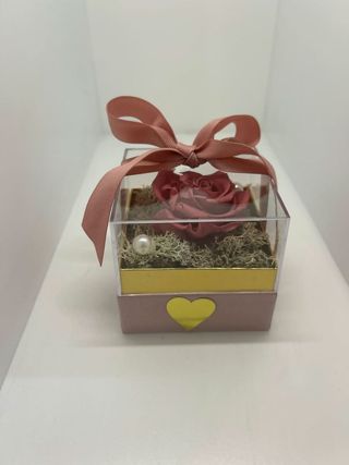 Rosa da Delicadeza e Carinho
