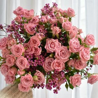 Garden Valentine edition